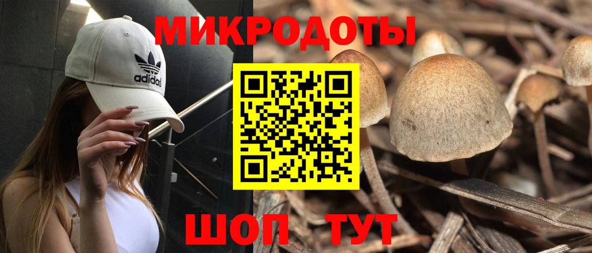 Псилоцибиновые грибы MAGIC MUSHROOMS Светлоград
